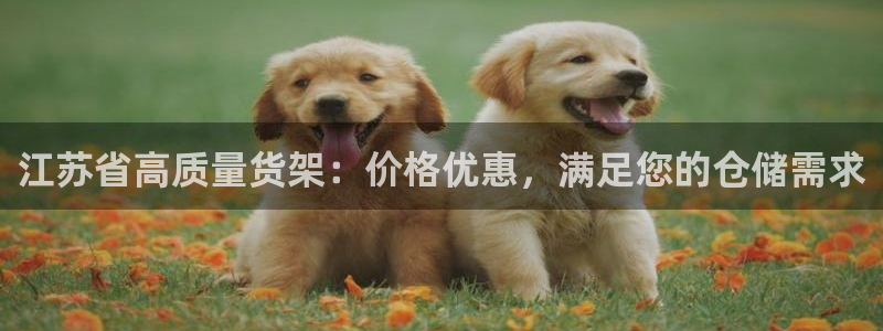 杏运代理