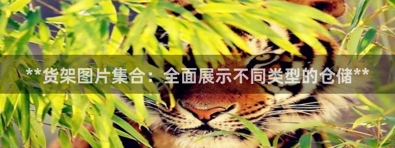杏运平台登陆