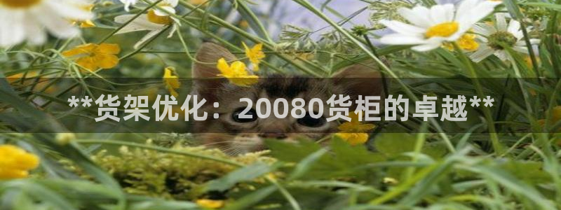 杏运体育登录