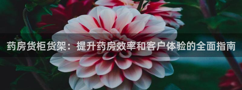 杏运平台登陆