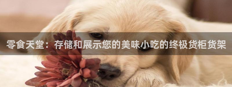 杏运注册平台