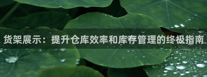 杏运新能源