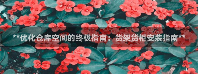 杏运平台代理