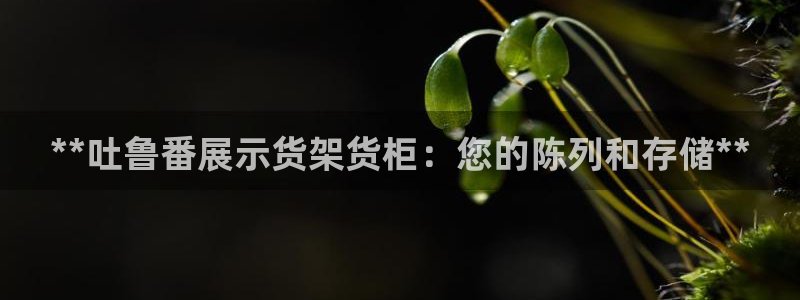杏运体育怎么样