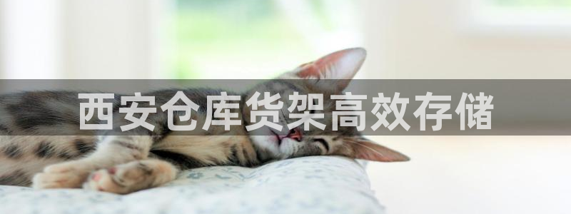 杏运登录
