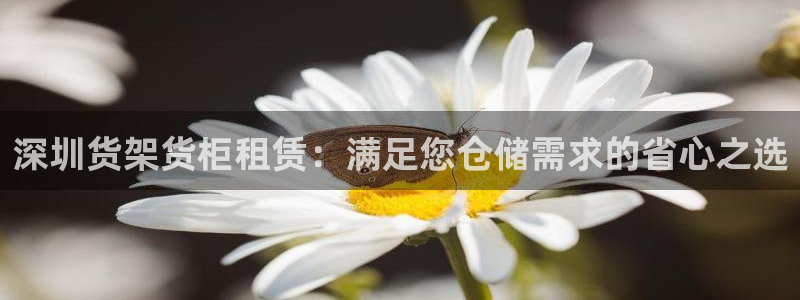 杏运体育app下载安装