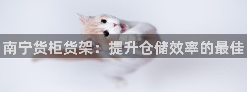 杏运体育官方网址登录
