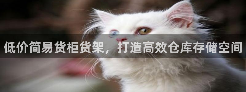 杏运体育网