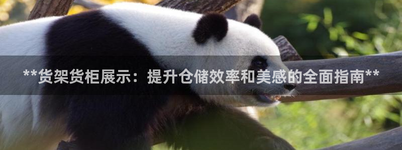 杏运体育平台