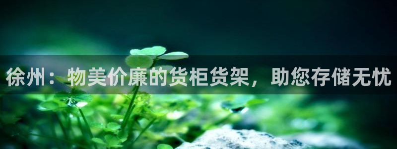 杏运代理
