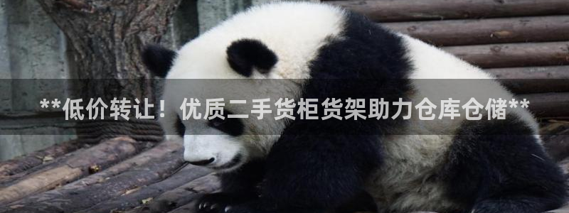 杏运相伴