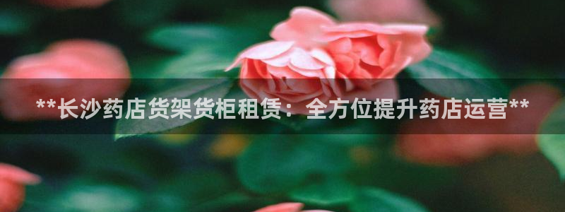 杏运平台官方网站