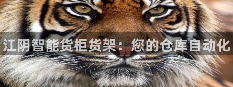 杏运注册账号
