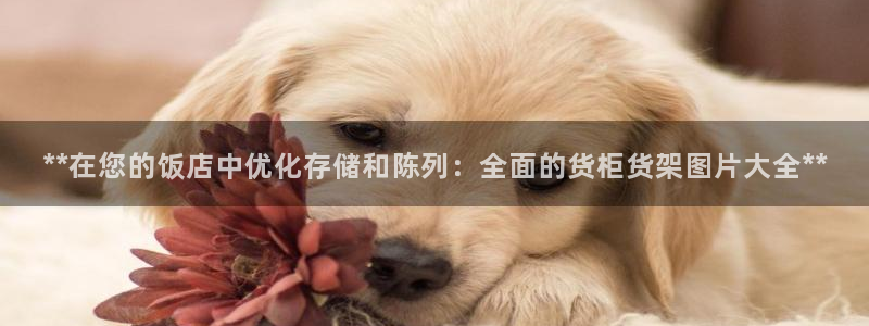 杏运体育怎么样