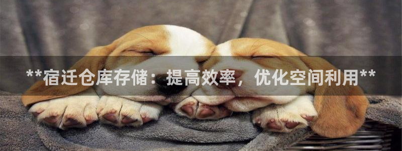 杏运注册登录