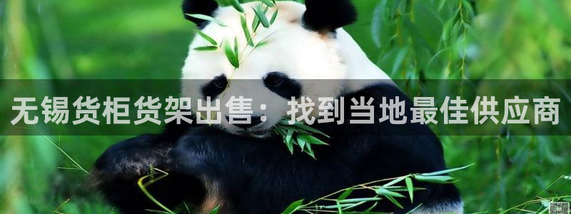 杏运体育登录