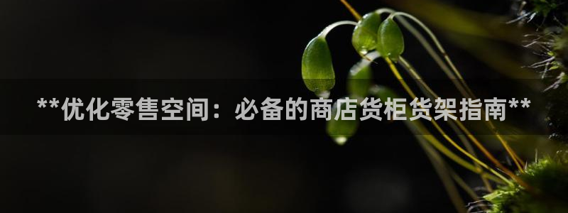 杏运体育官方网址登录
