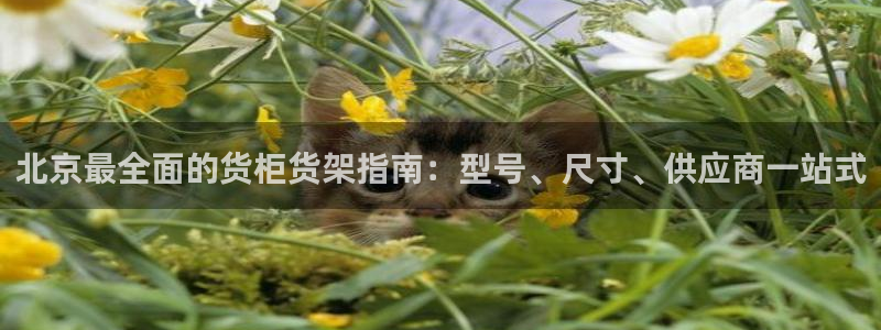 杏运体育