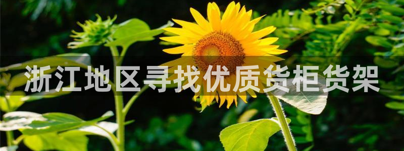 杏运体育网