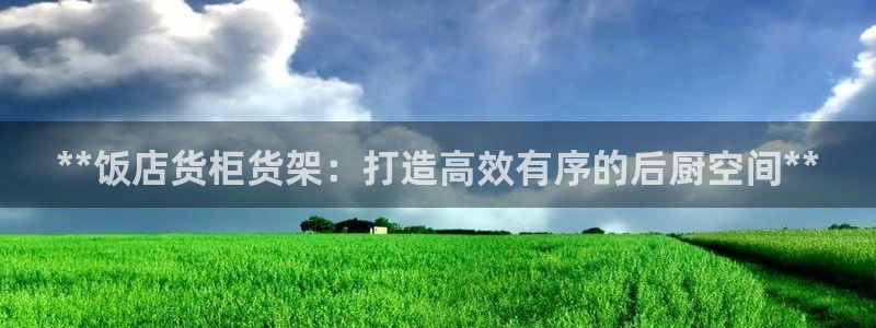 杏运汽车招商