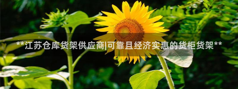 杏运体育平台正规吗安全吗可信吗