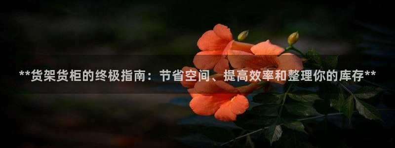 杏运相伴