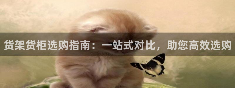 杏运登录