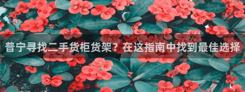 杏运注册