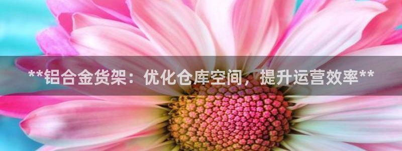 杏运新能源