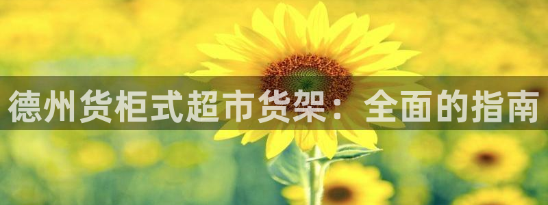 杏运体育官方网址登录