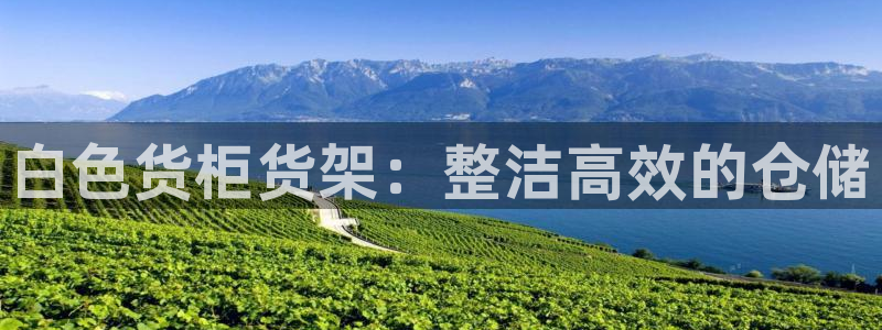 杏运平台官网
