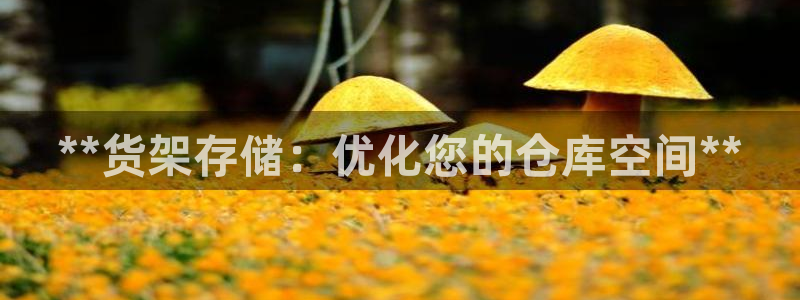杏运注册登录