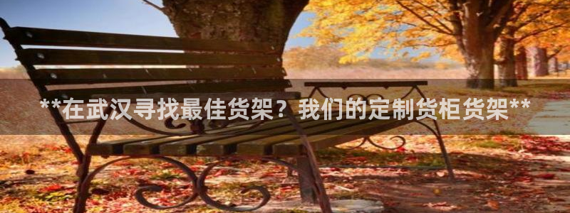 杏运体育官网