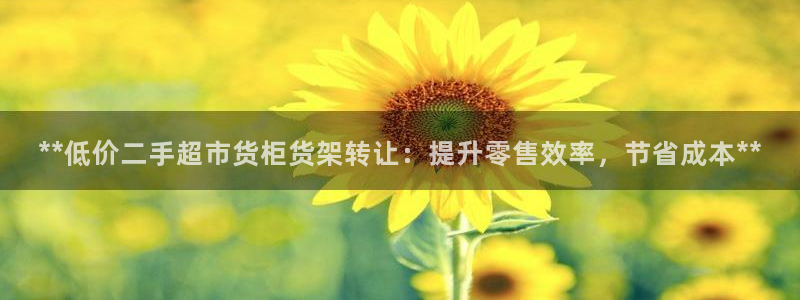 杏运新能源