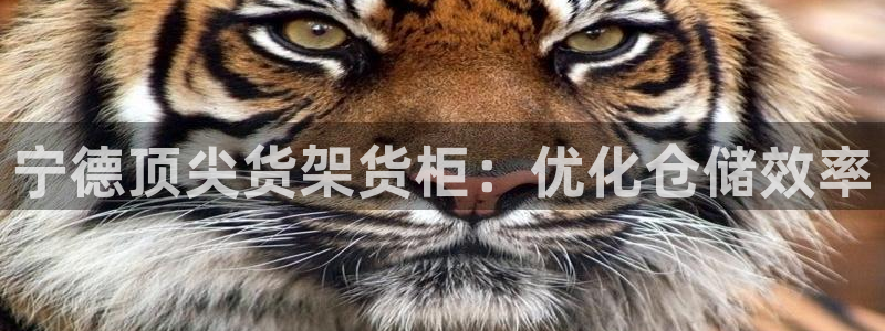 杏运体育官方网址