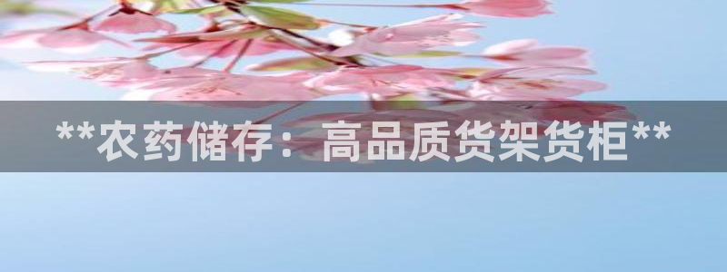 杏运汽车