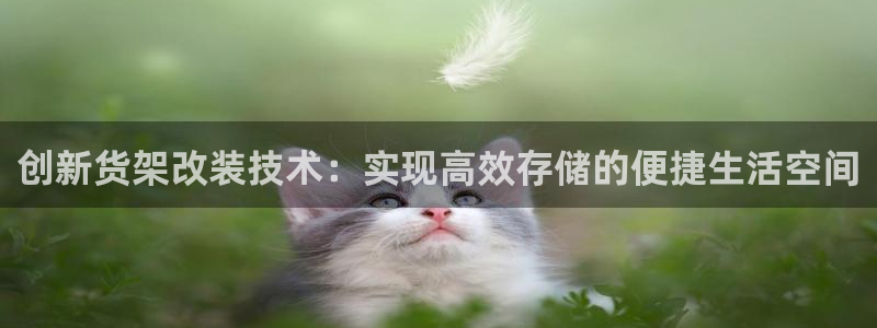 杏运汽车招商