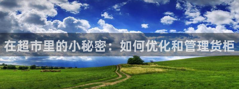 杏运汽车招商