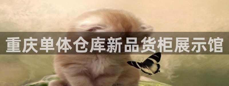 杏运注册登录