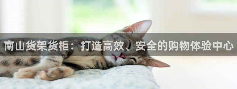 杏运汽车