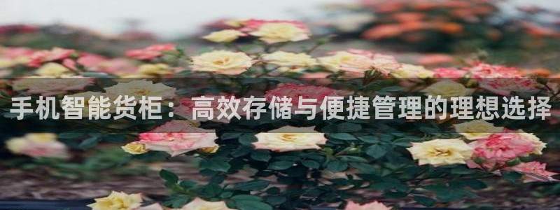 杏运平台注册