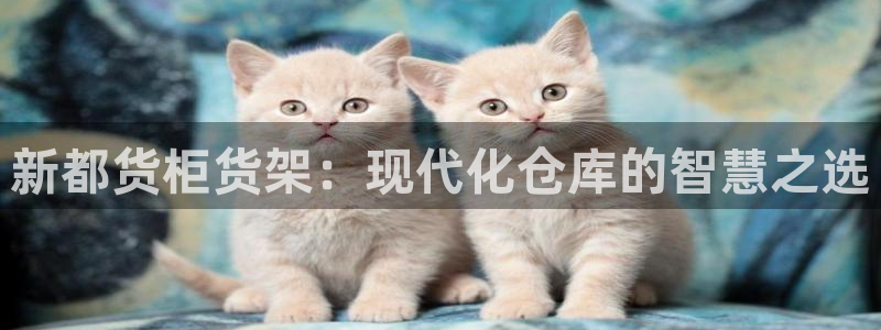 杏运体育注册