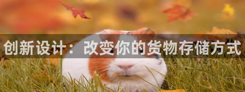 杏运平台招商：创新设计：改变你的货物存储
