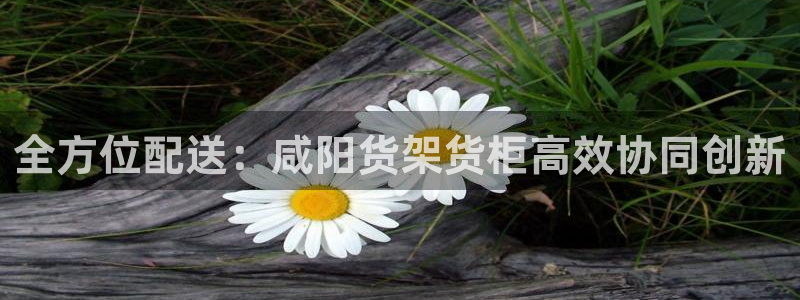 杏运体育登录