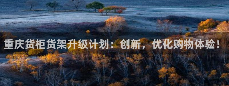 杏运代理：重庆货柜货架升级计划：创新，优