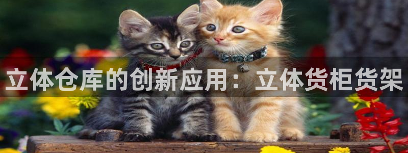 杏运体育官方网址登录