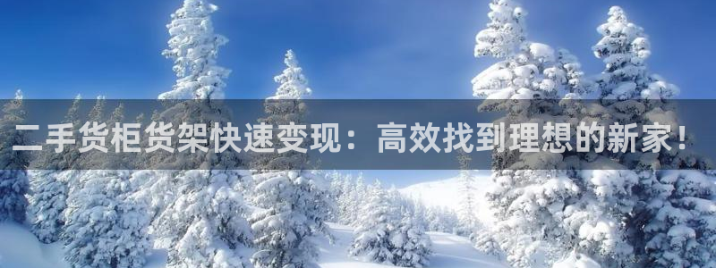 杏运体育官方网址
