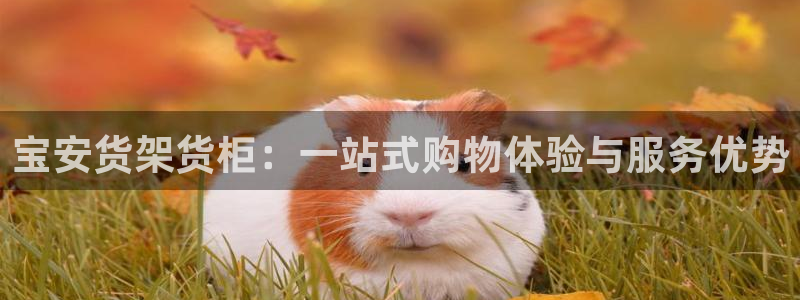 杏运平台官方网站
