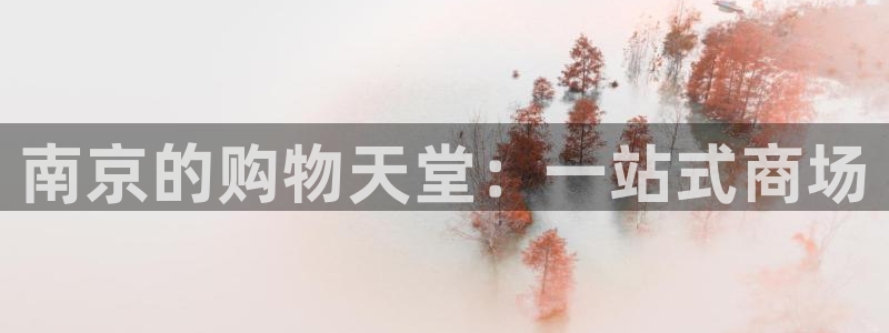 杏运汽车招商：南京的购物天堂：一站式商场
