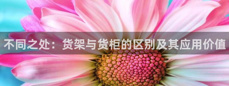 杏运体育平台
